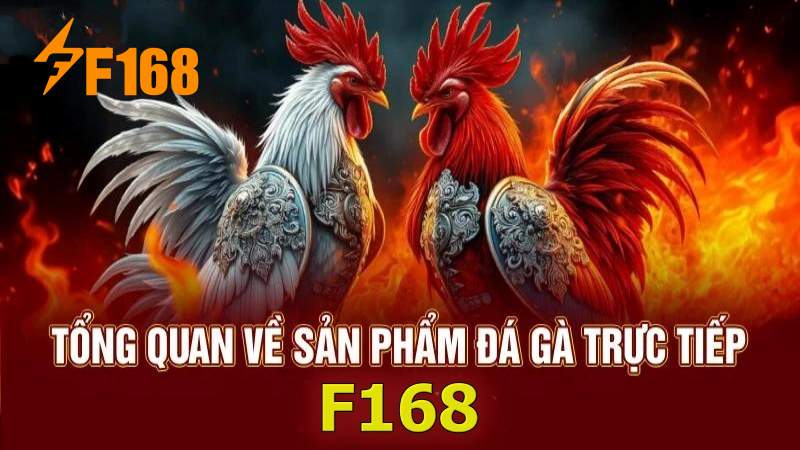 Đá gà trực tiếp F168 kịch tính đến bất ngờ